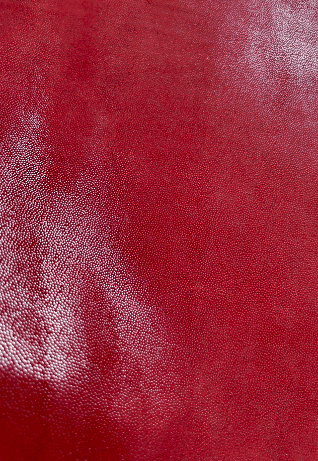 Chute de cuir rouge argenté